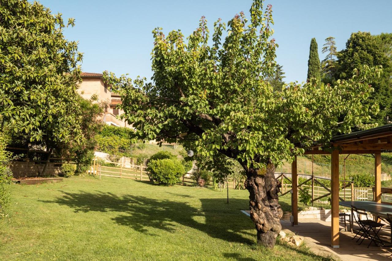 Toscana Da Sogno A Villa Allegria เซียนา ภายนอก รูปภาพ