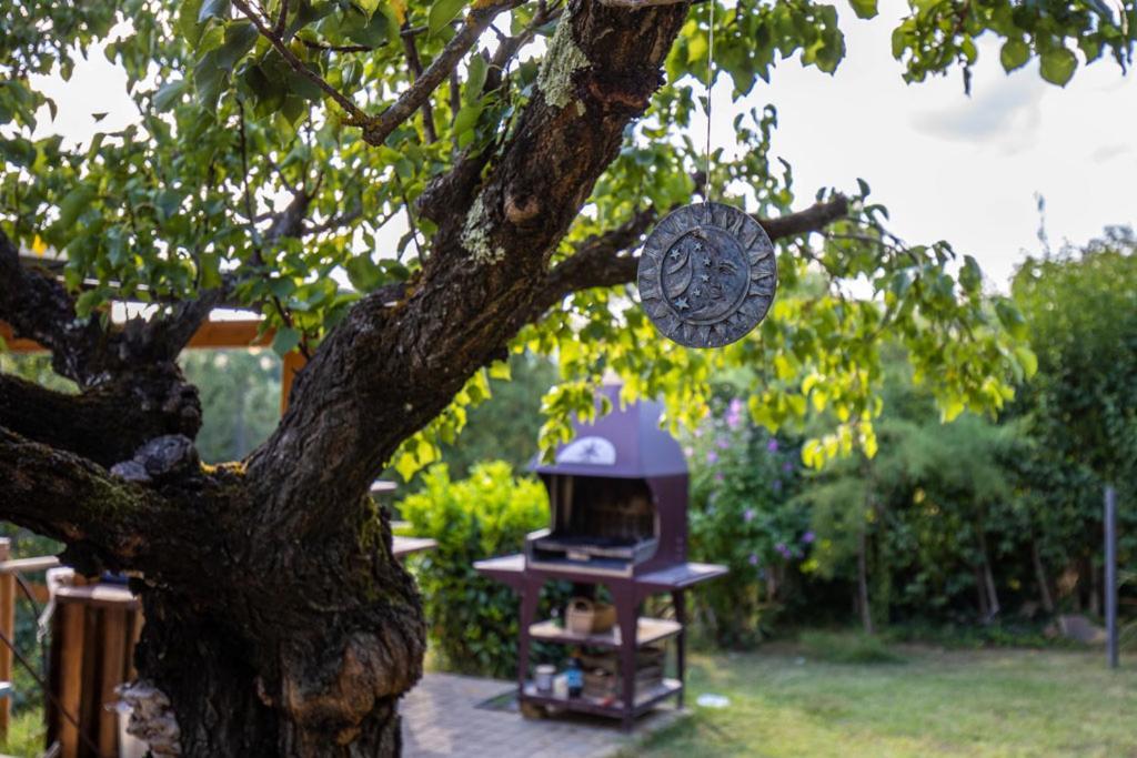 Toscana Da Sogno A Villa Allegria เซียนา ภายนอก รูปภาพ